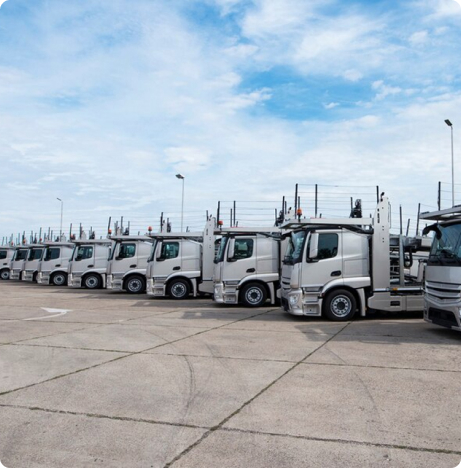 A long row of parked lorries